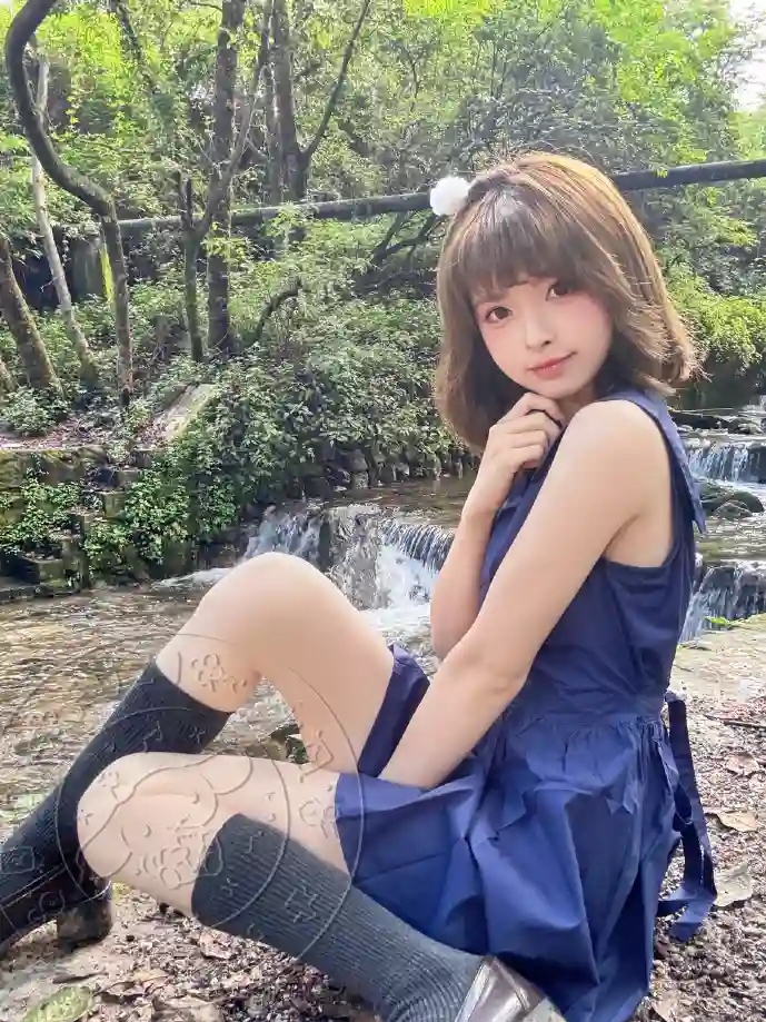 Lie下载数据统计